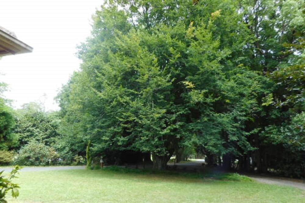 Photo of Outdoor in Warburton