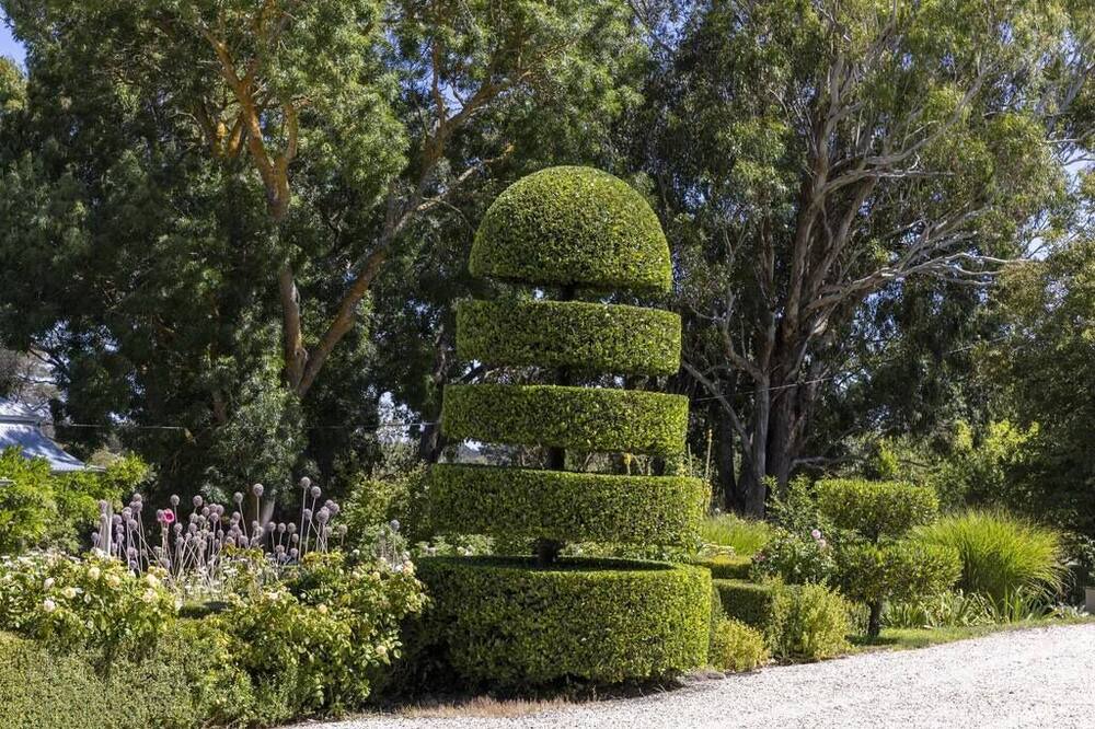 Photo of Outdoor in Kyneton