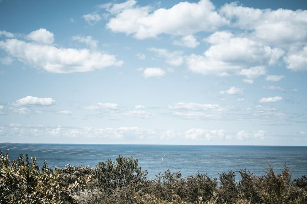 Photo of Outdoor in Killcare Heights