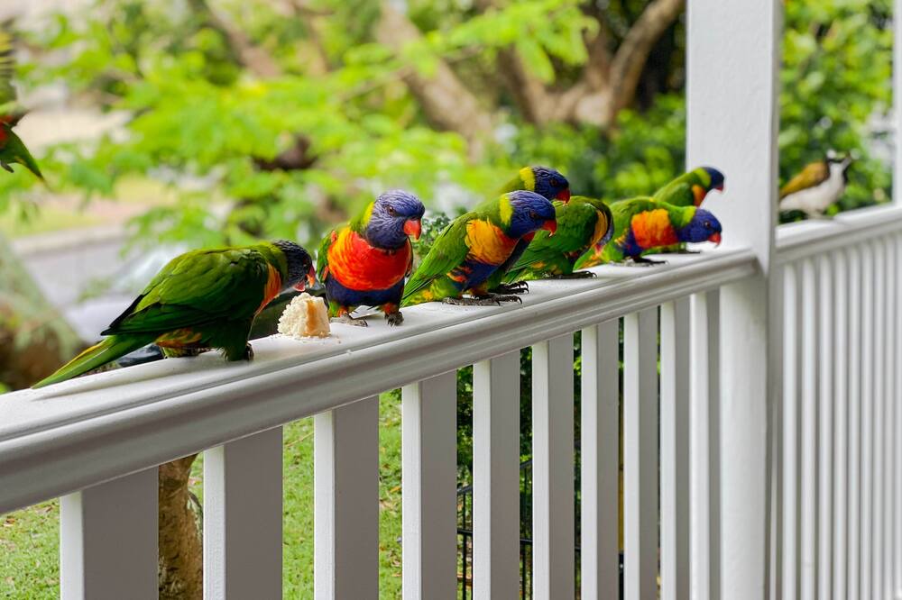 Photo of Patio Balcony in Shoal Bay