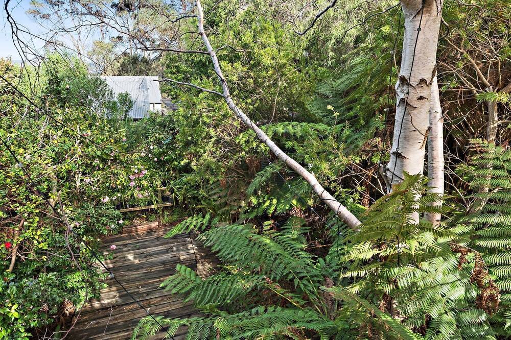 Photo of Outdoor in Lorne