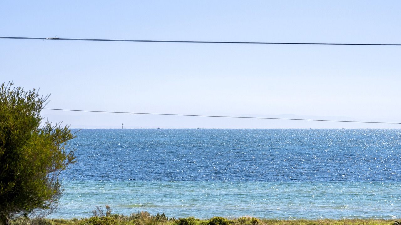 Photo of Others in Indented Head