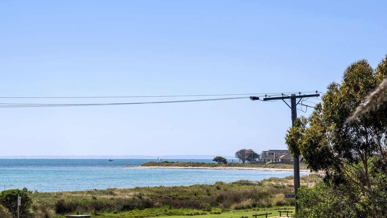 Photo of Others in Indented Head