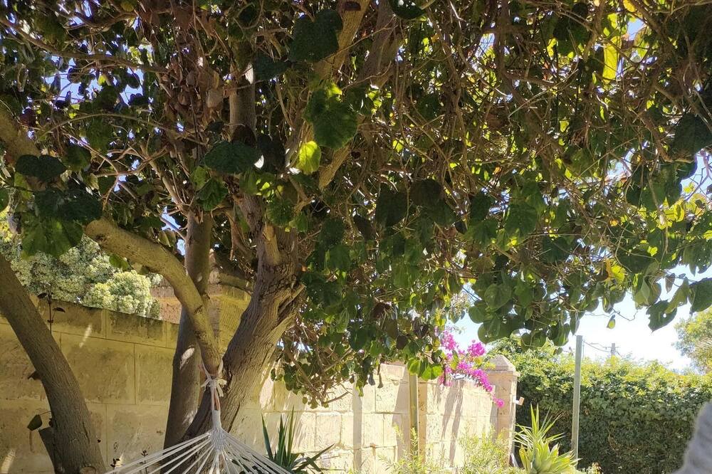 Photo of Outdoor in Yanchep
