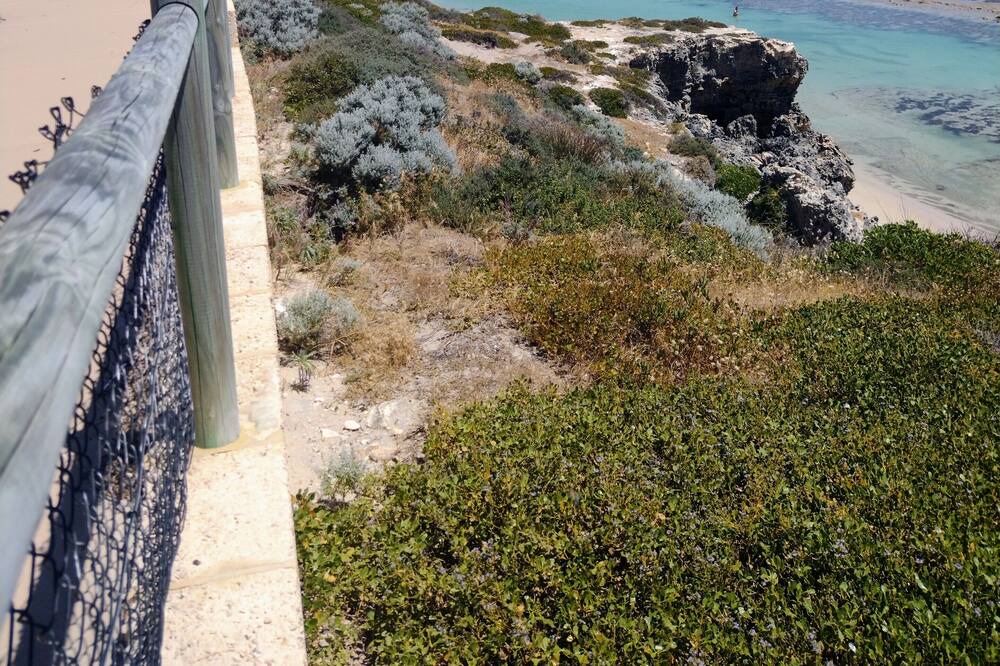 Photo of Others in Yanchep