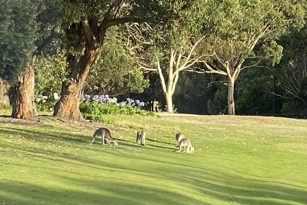 Photo of Others in Kilmore