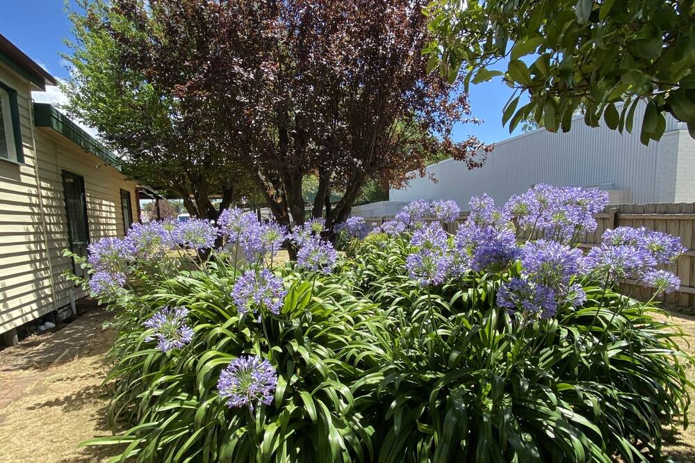 Photo of Outdoor in Kilmore