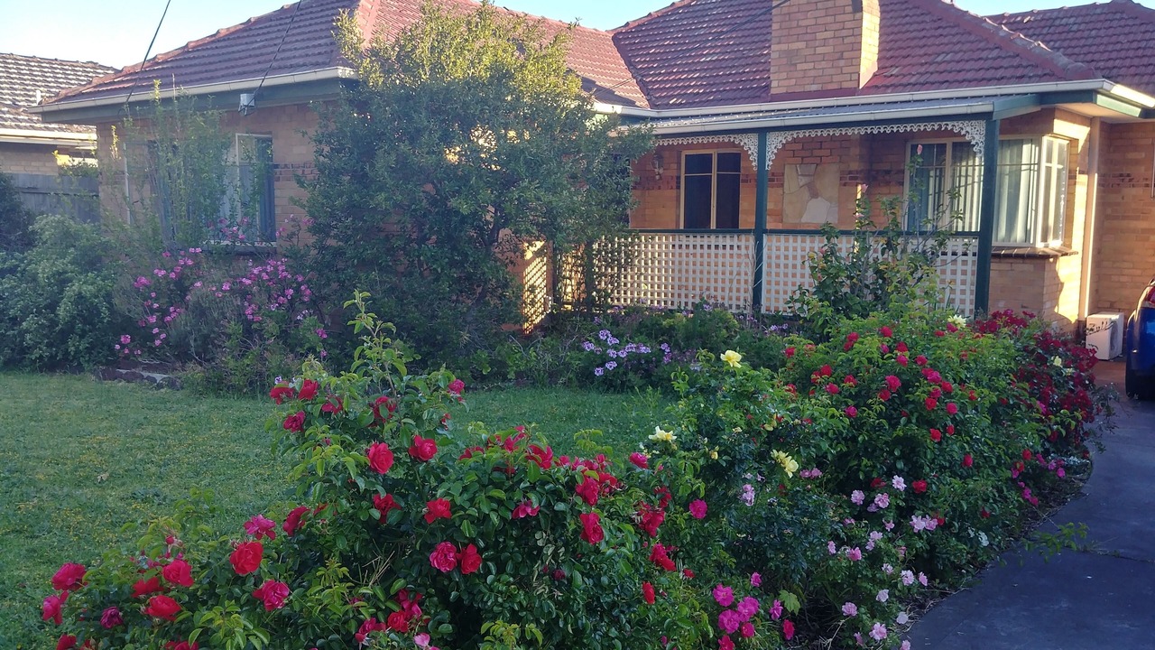 Photo of Outdoor in Dandenong