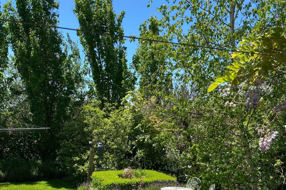 Photo of Outdoor in Daylesford