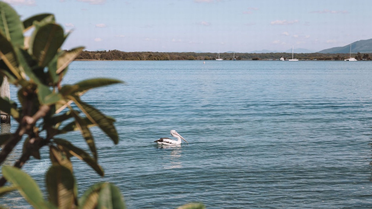 Photo of Outdoor in South West Rocks