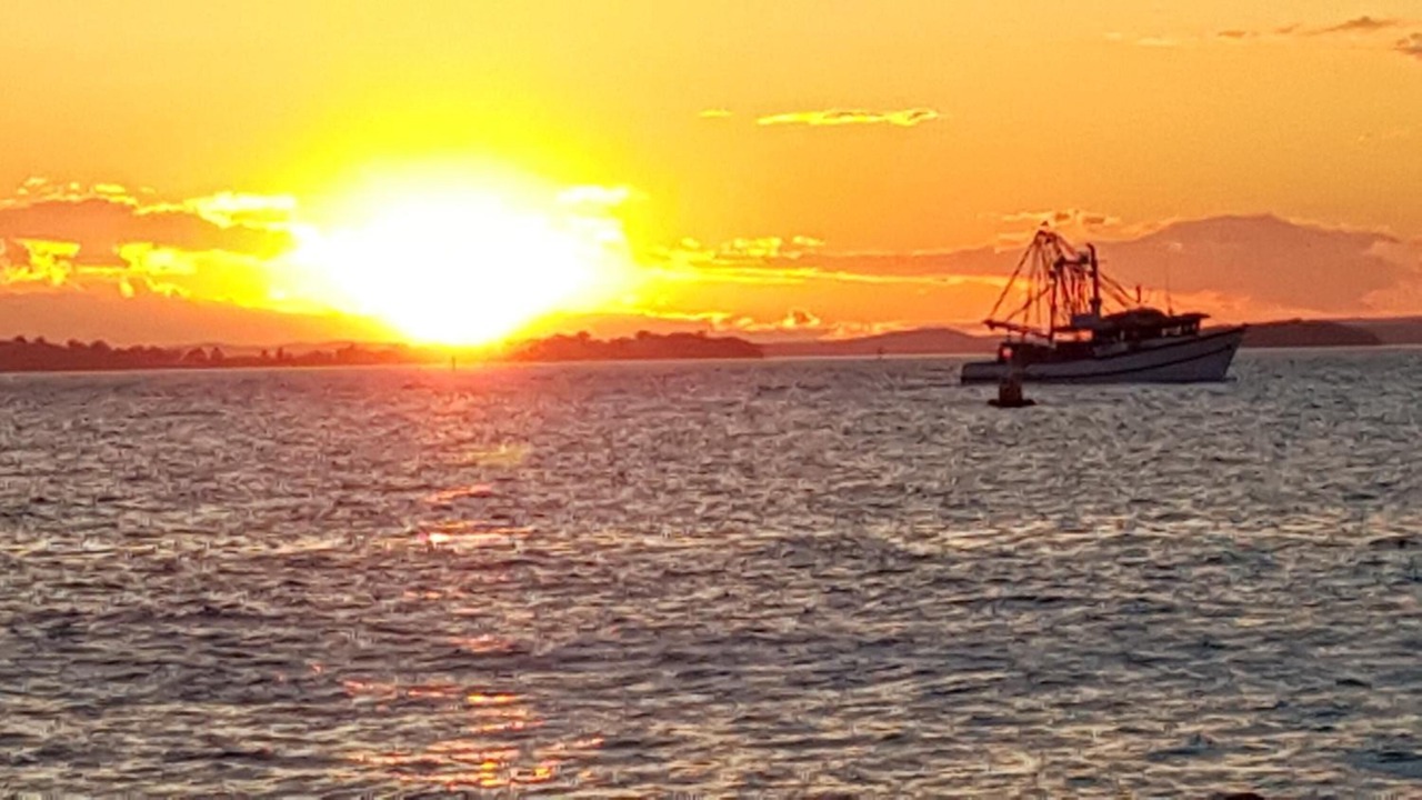 Photo of Others in Nelson Bay