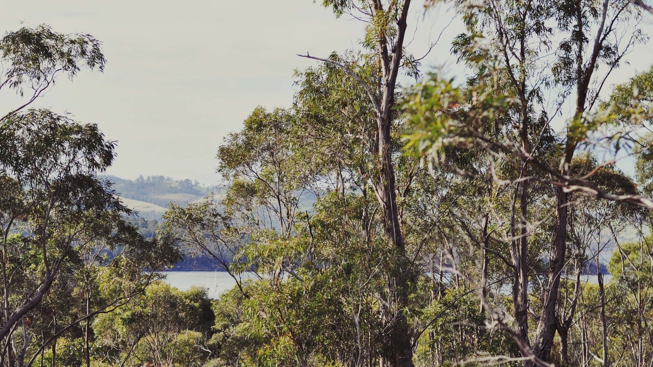 Photo of Outdoor in Oyster Cove