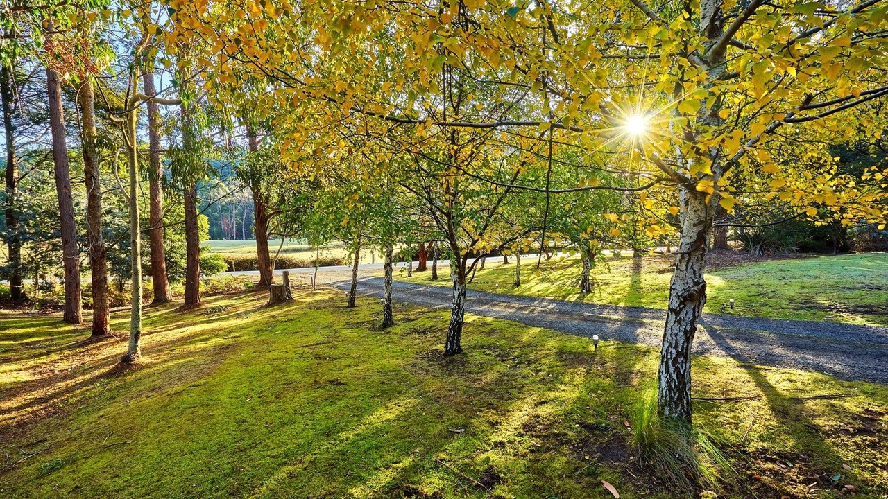 Photo of Outdoor in Oyster Cove