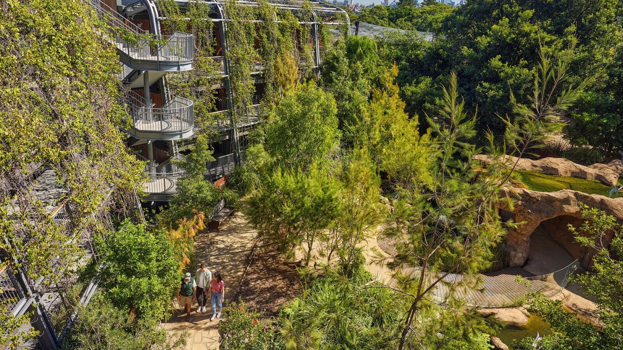 Photo of Outdoor in Mosman