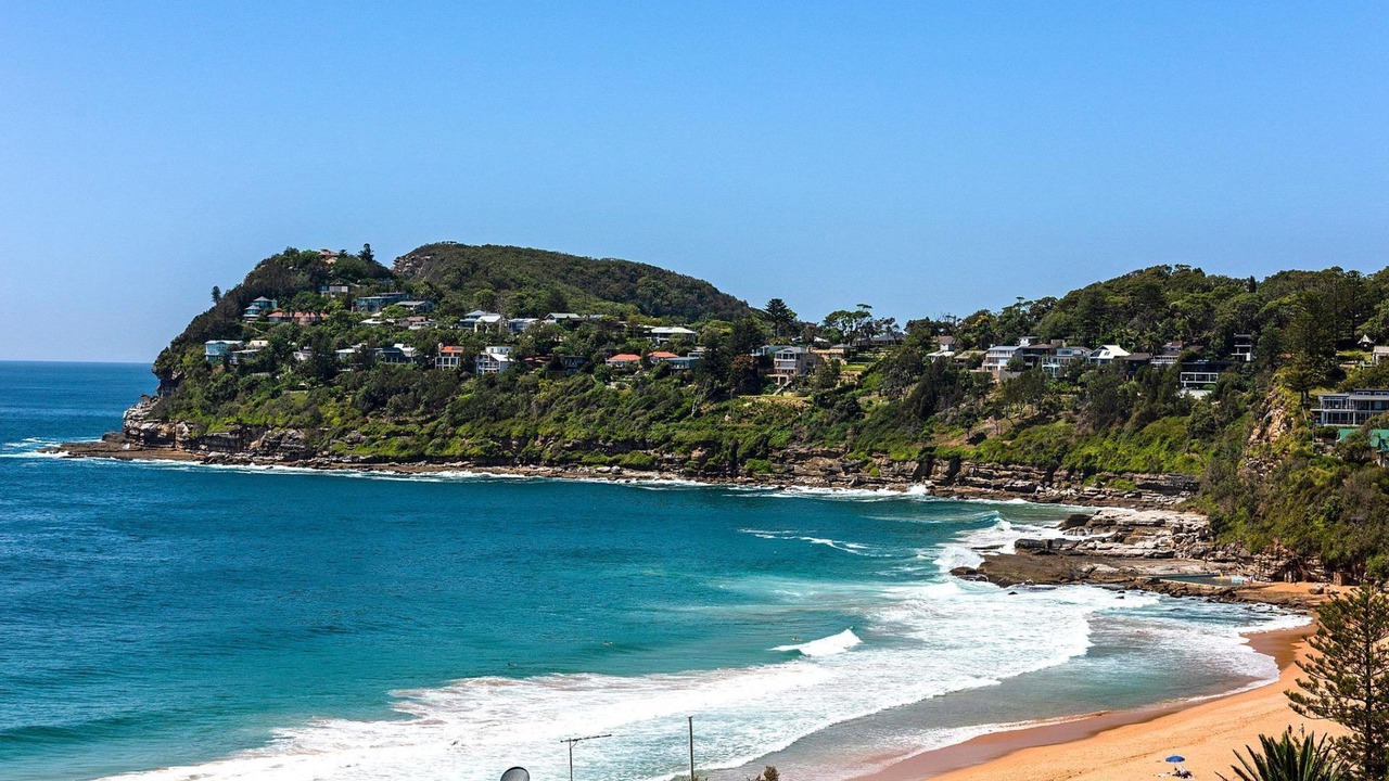 Photo of Others in Whale Beach