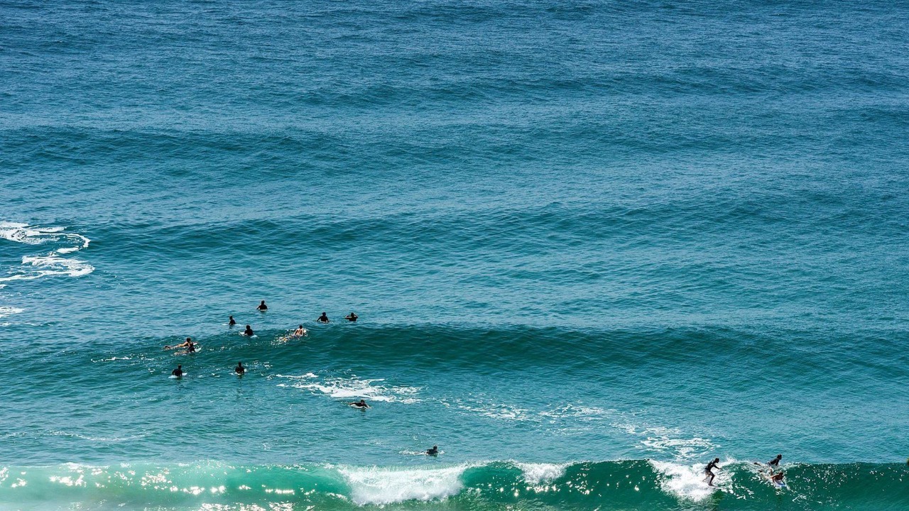 Photo of Others in Whale Beach