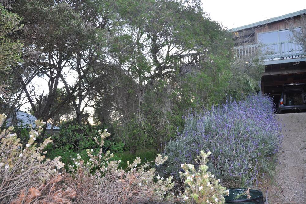 Photo of Outdoor in Blairgowrie