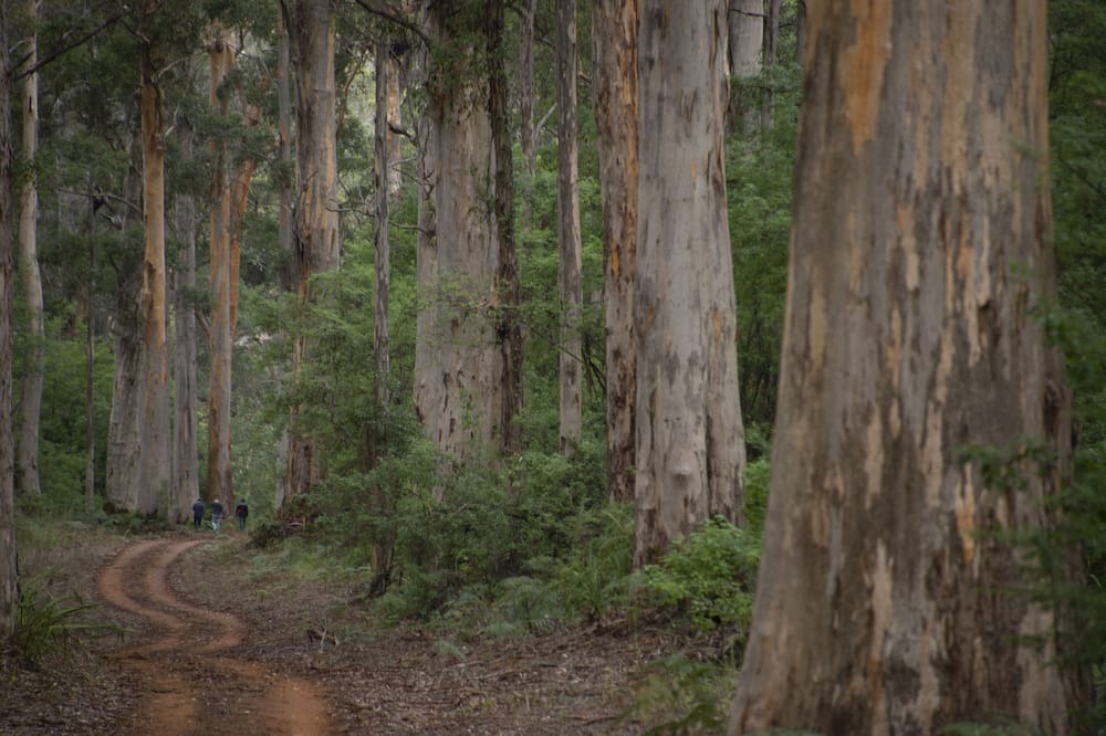 Photo of Others in Pemberton