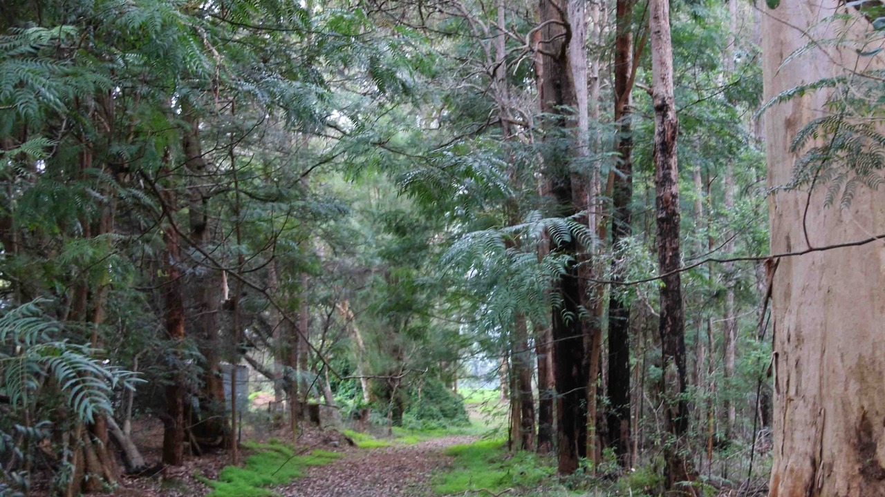 Photo of Outdoor in Channybearup