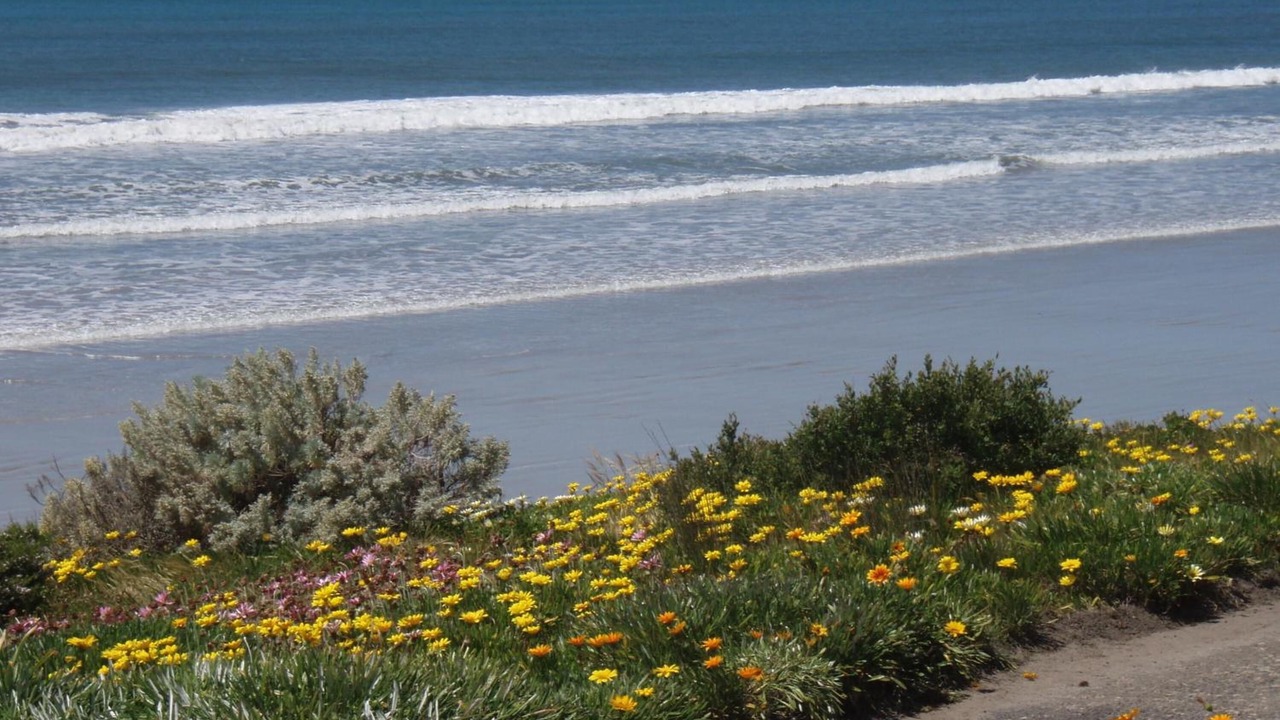 Photo of Others in Port Fairy