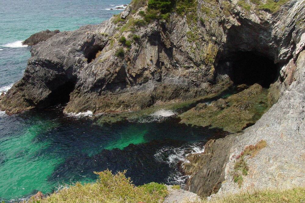 Photo of Others in Narooma