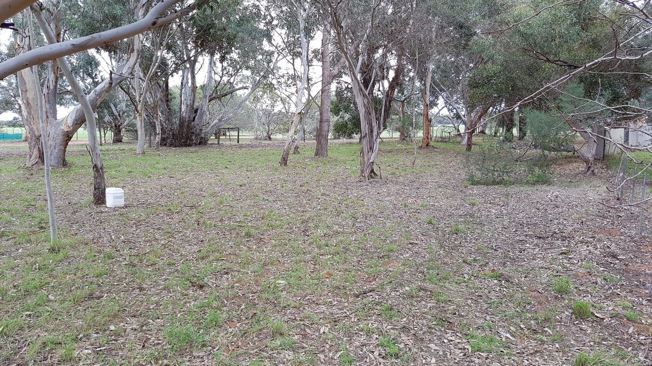 Photo of Outdoor in Yathroo