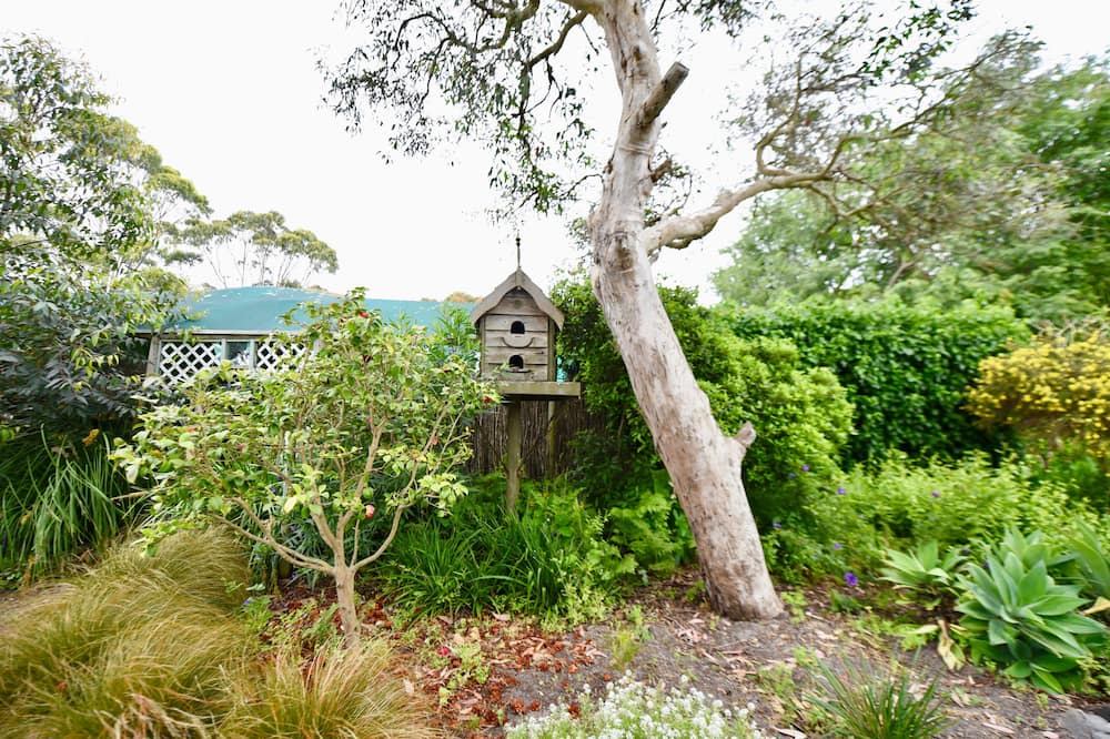 Photo of Outdoor in Cuttlefish Bay
