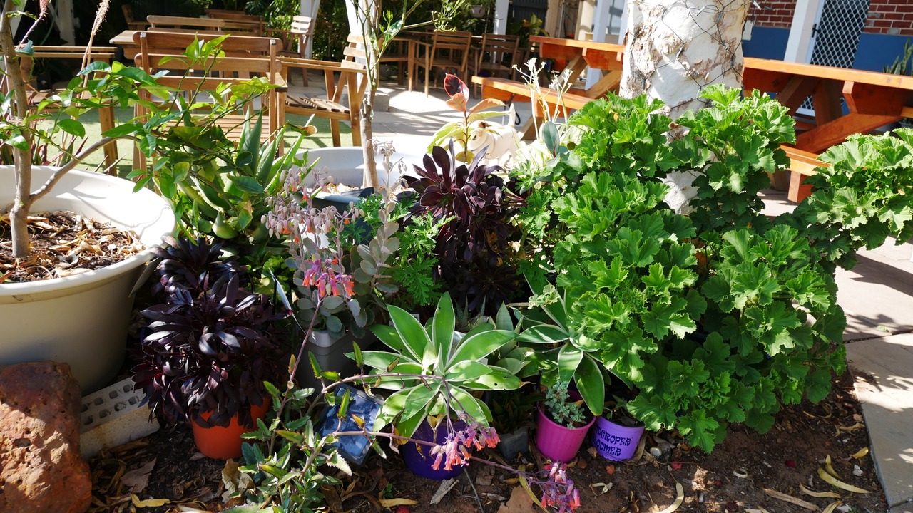 Photo of Outdoor in Geraldton
