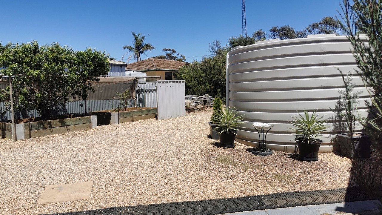 Photo of Others in Kimba
