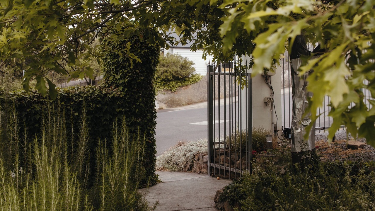 Photo of Outdoor in New Norfolk