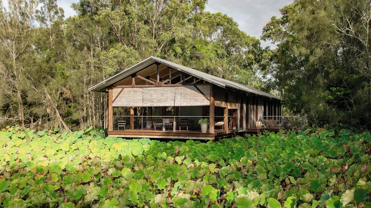 Photo of Outdoor in Lovedale