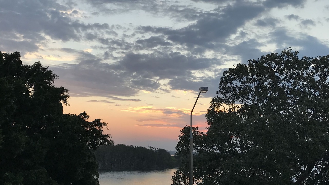 Photo of Others in Forster