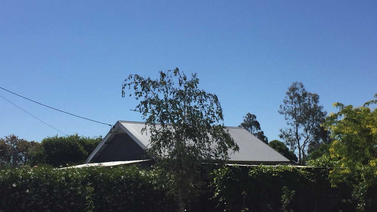 Photo of Outdoor in North Wagga Wagga