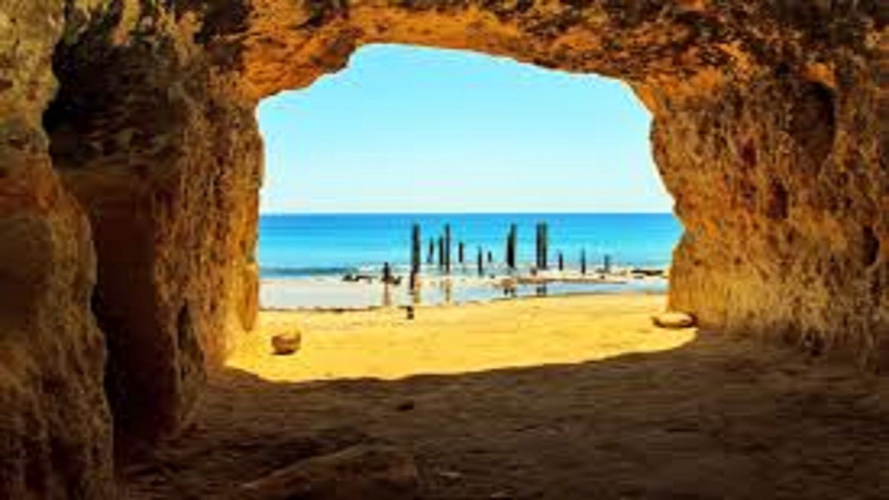 Photo of Others in Port Willunga