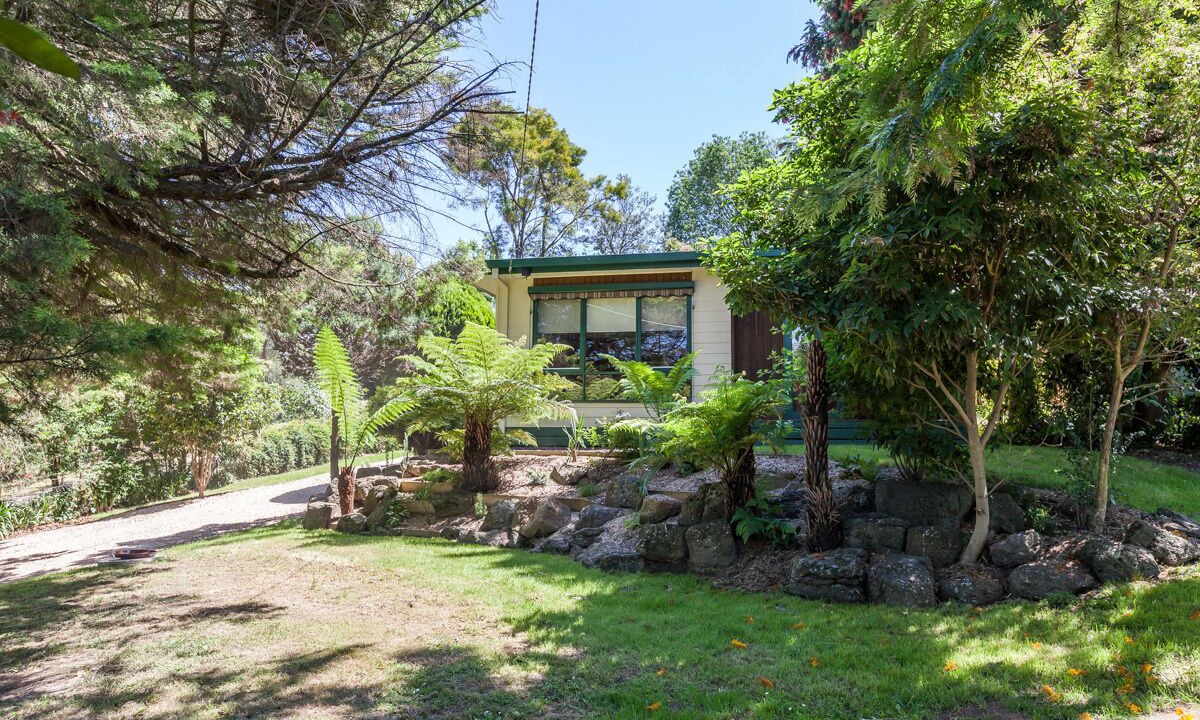 Photo of Outdoor in Healesville