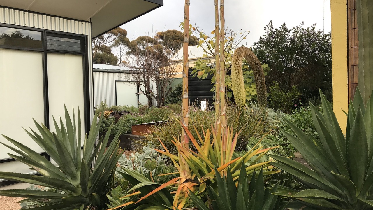 Photo of Outdoor in Port Lincoln