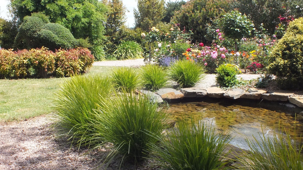 Photo of Outdoor in Barrington
