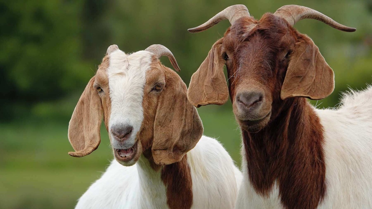 Photo of Others in Barrington