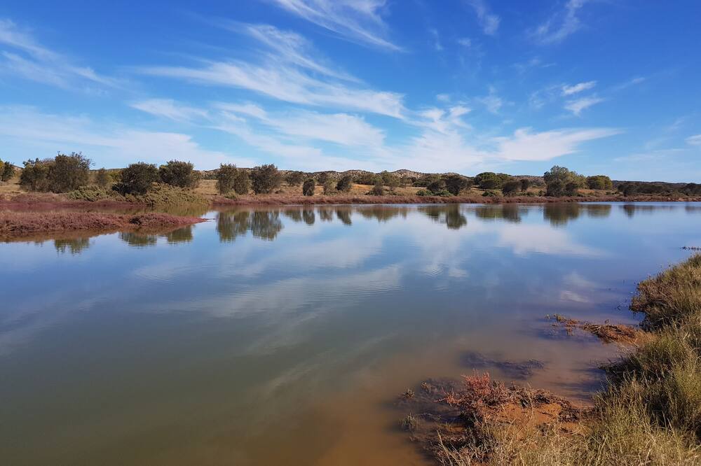 Photo of Others in Greenough