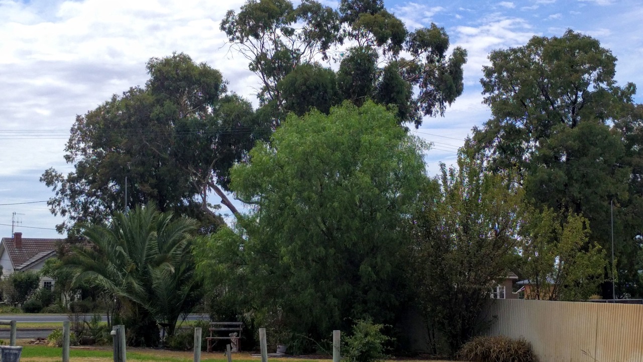 Photo of Outdoor in Kaniva