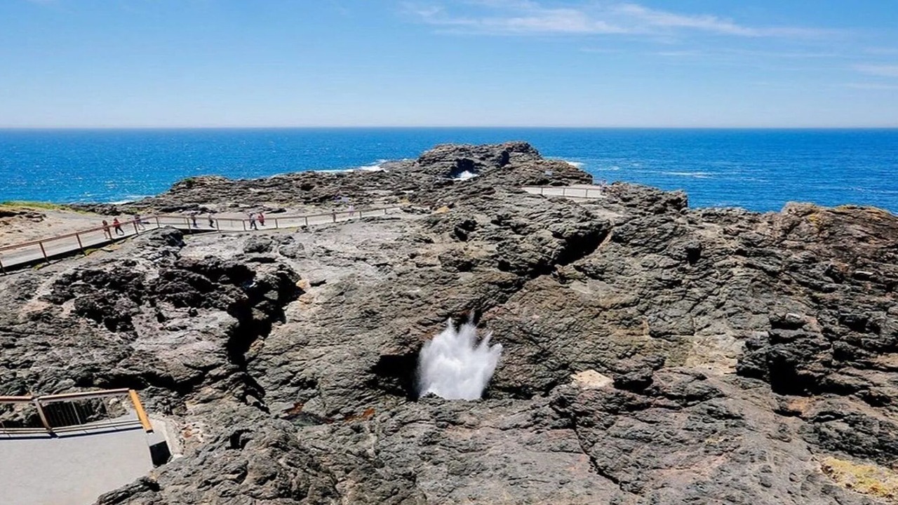 Photo of Others in Kiama