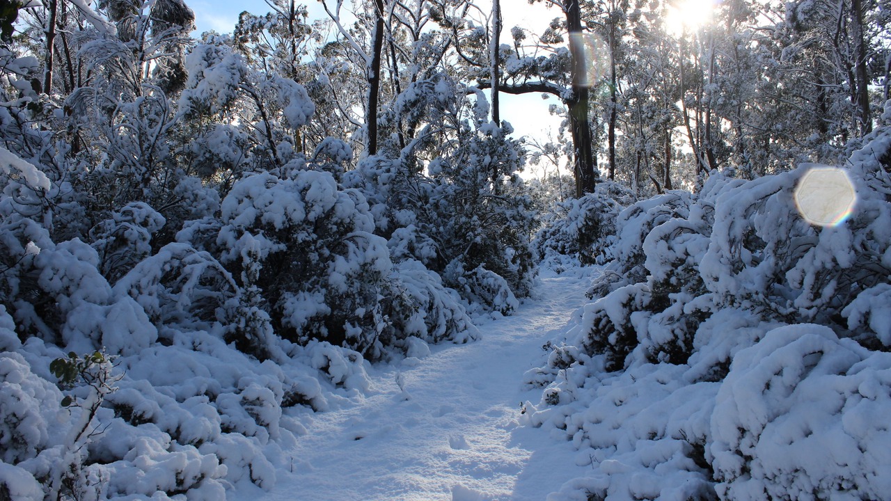 Photo of Outdoor in Cradle Mountain