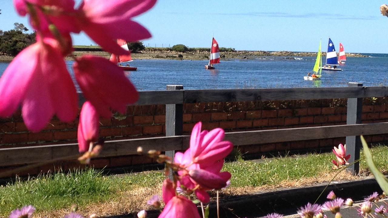 Photo of Others in Wynyard