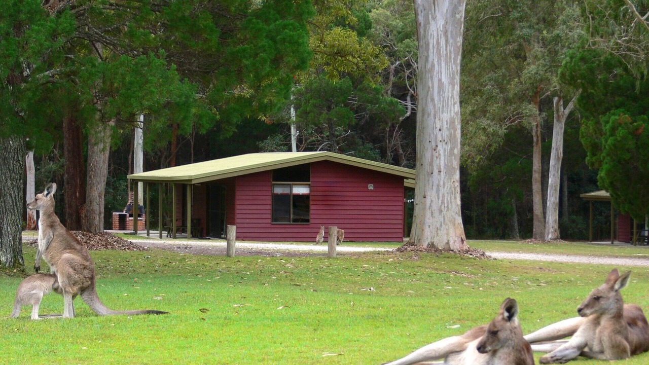 Photo of Outdoor in Noosa North Shore