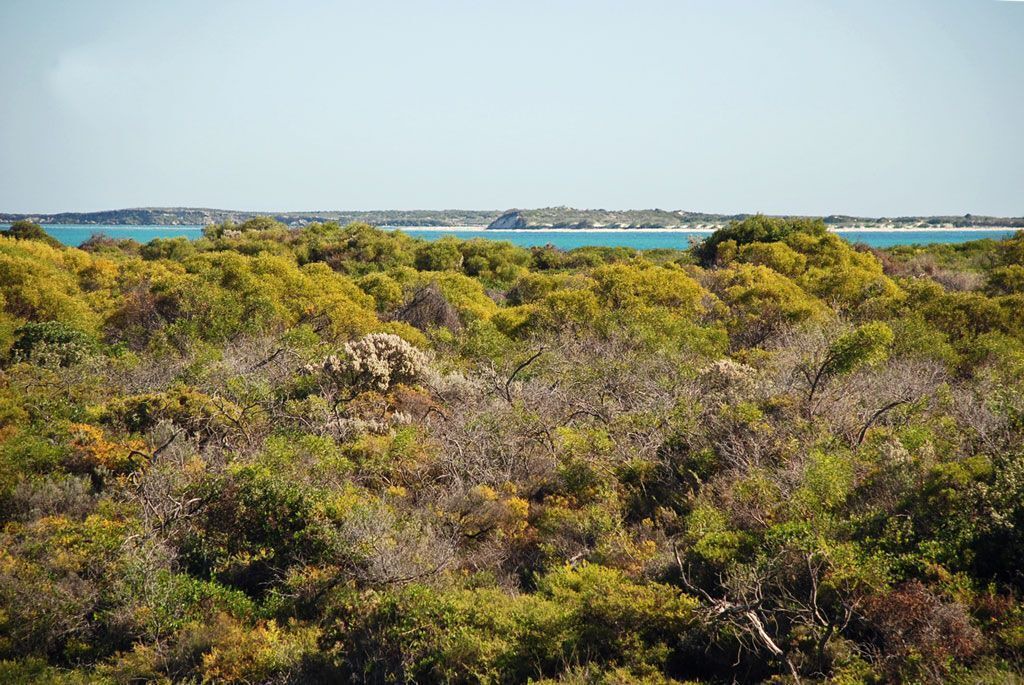 Photo of Others in Jurien Bay