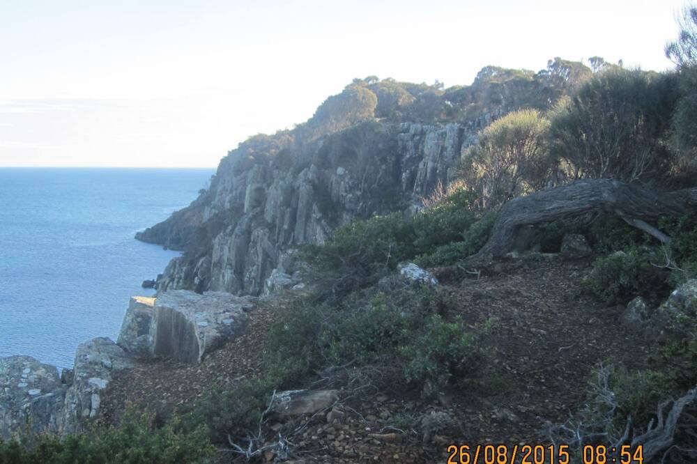Photo of Others in Greens Beach