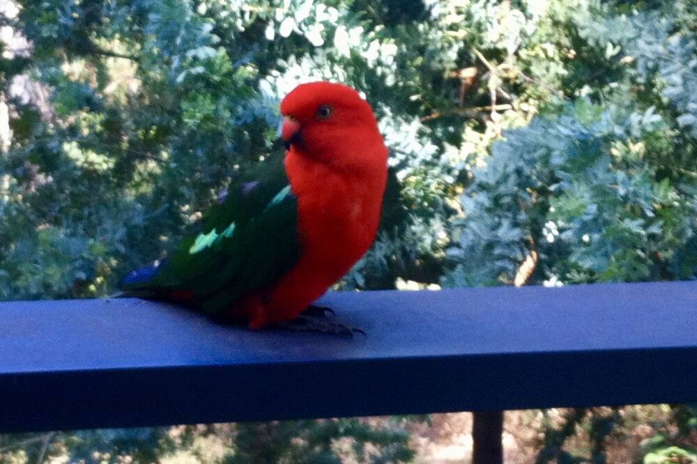 Photo of Others in Lorne