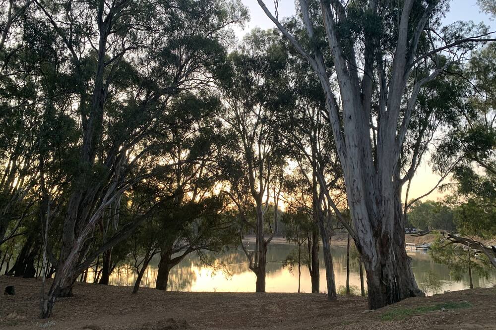 Photo of Others in Moama