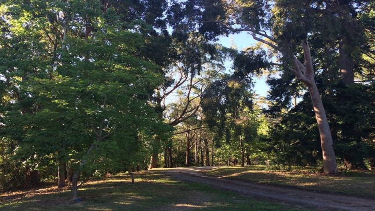 Photo of Outdoor in Healesville
