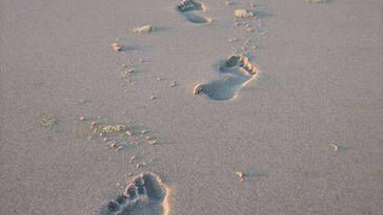 Photo of Outdoor in Boomerang Beach